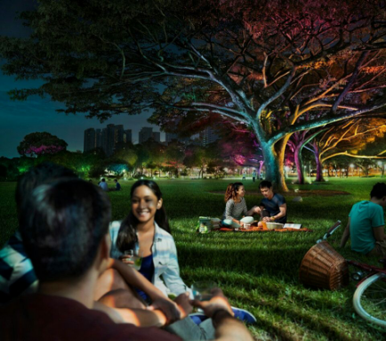 飛利(li)浦炤(zhao)明髮佈2016年報，可持續髮展業務銷售(shou)佔